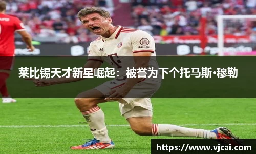 完美体育登录入口