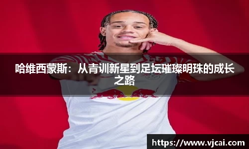 完美体育登录入口