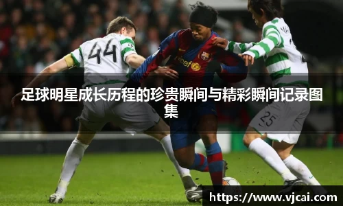 完美体育登录入口